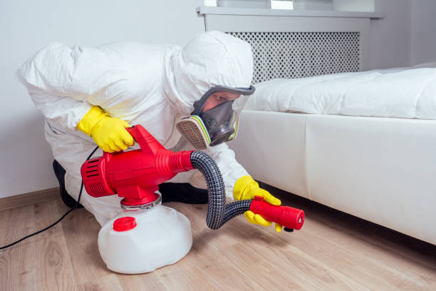 Best Emergency Pest Control  in Mystic Island, NJ