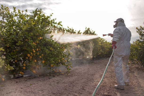 Best Exterminator Services  in Mystic Island, NJ