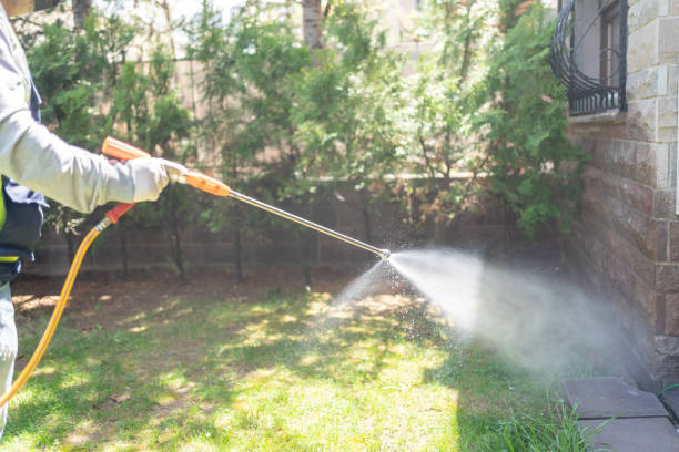 Best Pest Removal Services  in Mystic Island, NJ