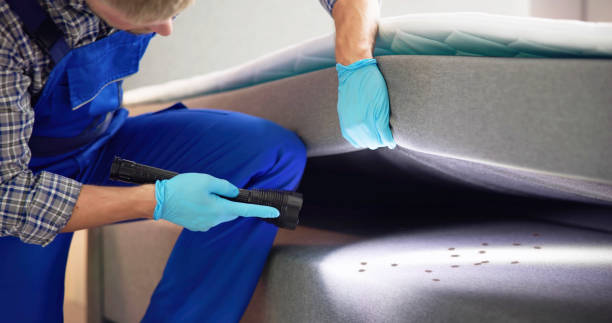 Best Mosquito Control Services  in Mystic Island, NJ