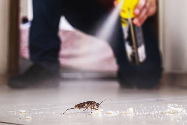 Flea Control Services in Mystic Island, NJ
