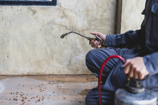 Best Wasp Removal Services  in Mystic Island, NJ